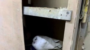 В гостях у голубевода дед Хасана, битые высоколётные игровые голуби.город Душанбе Таджикистан.