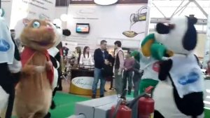 Коровы танцуют