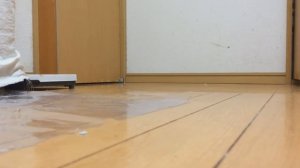 Как обычно ходят мои соседи сверху))