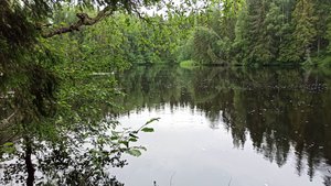 Тохмайоки - дикая жемчужина Карелии