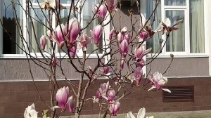 Имеретинская низменность ( Адлер)