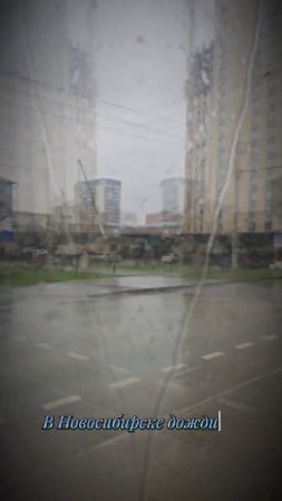 В Новосибирске дожди