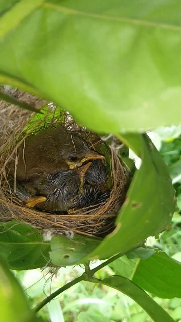 15 September 2022 смотреть онлайн