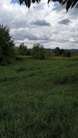 Луг, деревья и облака