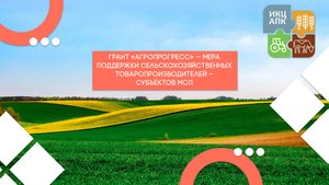 Запись семинара от 25 апреля 2025 года