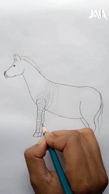 How to draw a zebra by easy step | Zebra drawing | #shorts #viral #trending #drawing #art #zebra смотреть онлайн