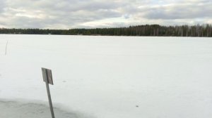 зимовка форели 2025.04.28