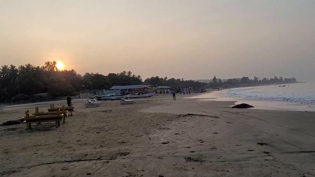 Индия часть 1. Гоа Арамболь 8 января 2024 года. путешествие дикарями. смотреть онлайн