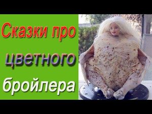 Цветной бройлер. Сказки о выращивании цветного бройлера