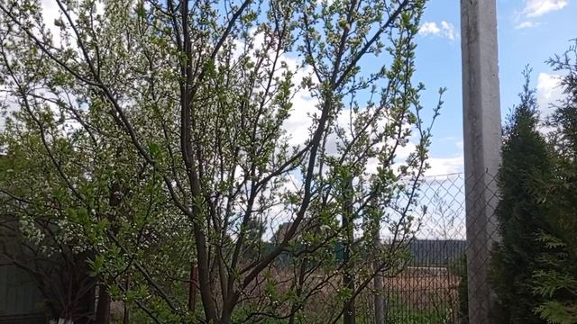 Не выдержал,развалился🫣🤔☺️