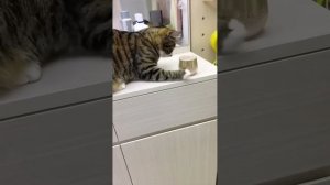 1000039191.mp4