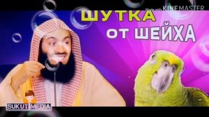 Шутка от Шейха про попугай!