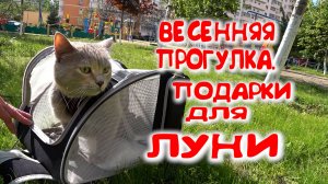 ВЕСЕННЯЯ ПРОГУЛКА С МОЕЙ КОШКОЙ ЛУНЕЙ.НАША НОВАЯ РЮКЗАК-ПЕРЕНОСКА.ИСПЫТЫВАЕМ)
