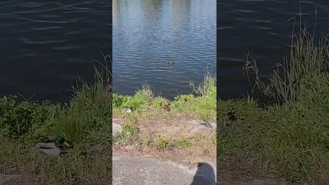 На набережной Донецка