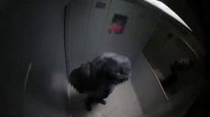 прикол Лифт и Маньяк РОЗЫГРЫШ В ЛИФТЕ