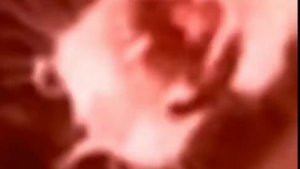 кот орёт минус уши😭🤟