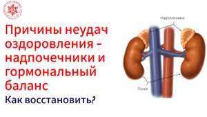 Причины неудач оздоровления - надпочечники и гормональный баланс. Как восстановить?