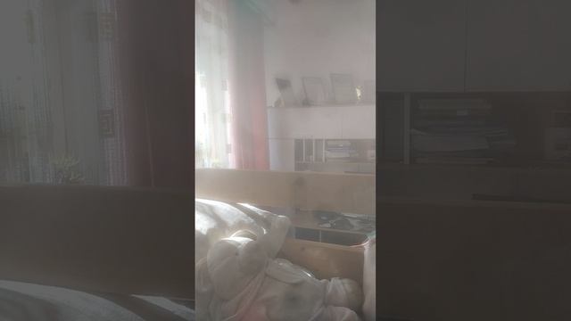 1000050554.mp4