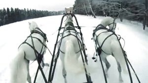 ❄️Дуэт Полины и Митруся «Зимушка-Зима» из оперетты «Холопка» — Владимир и Елена Кораблевы