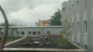 Растение основное питание получают из воздуха в виде углерода, углекислого газа.