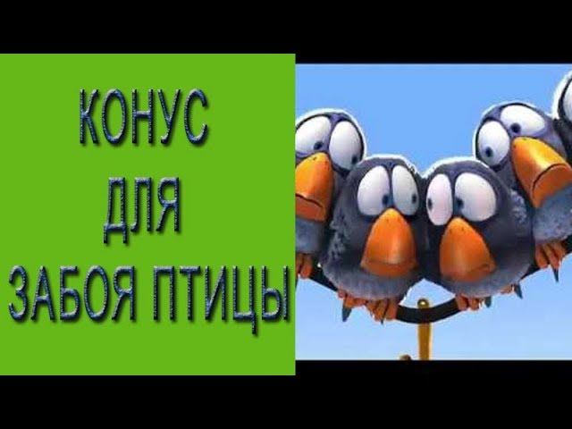 Конус для бройлера. Как сделать конус для забоя птицы?