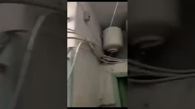Дружба.