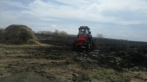 "3 в 1". (Т-40АМ  с кабиной ЮМЗ, ЛТЗ-55А с ГОРу, Т-40АМ  "СиДр"- все попали сегодня  в кадр).