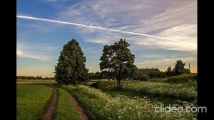 Последнее лето