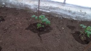 Нас засыпает снегом.