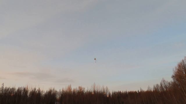 Blade Fusion 550 with FC6250HX. Lil RC heli 3D смотреть онлайн