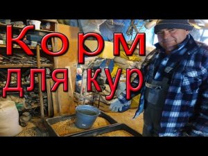 Чем кормить кур? |  Комбикорм для кур несушек.
