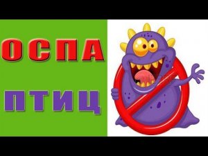 Оспа птиц. Болезни кур оспа