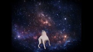 собака танцует в космосе