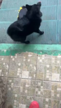 Когда рад встречи с Наташей)