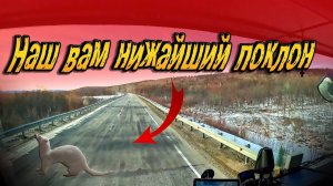 С нашим грузом низкие поклоны до земли... $1562