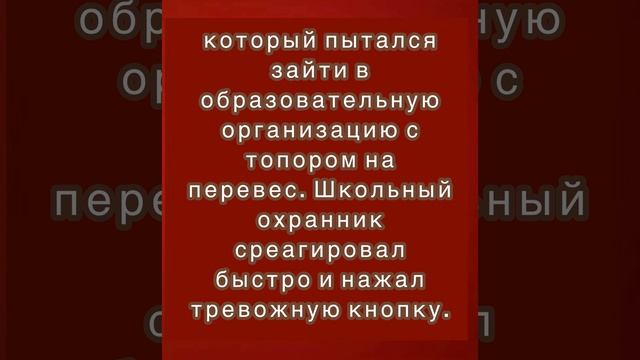 Агрессивный мужчина с топором пытался ворваться в школу в Москве