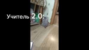 Вечером с Басиком. Что случилось!?