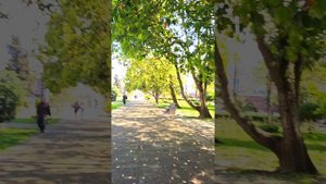 АК ПАРУС. АПАРТАМЕНТЫ У МОРПОРТА СОЧИ! 2.7 МЛН В ГОД ЧИСТЫМИ