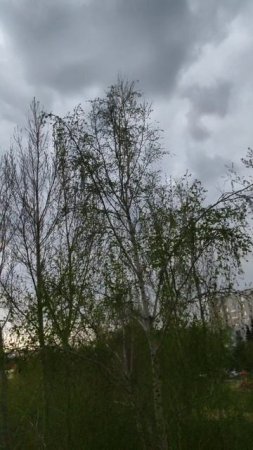 Кажется дождь собирается ☔