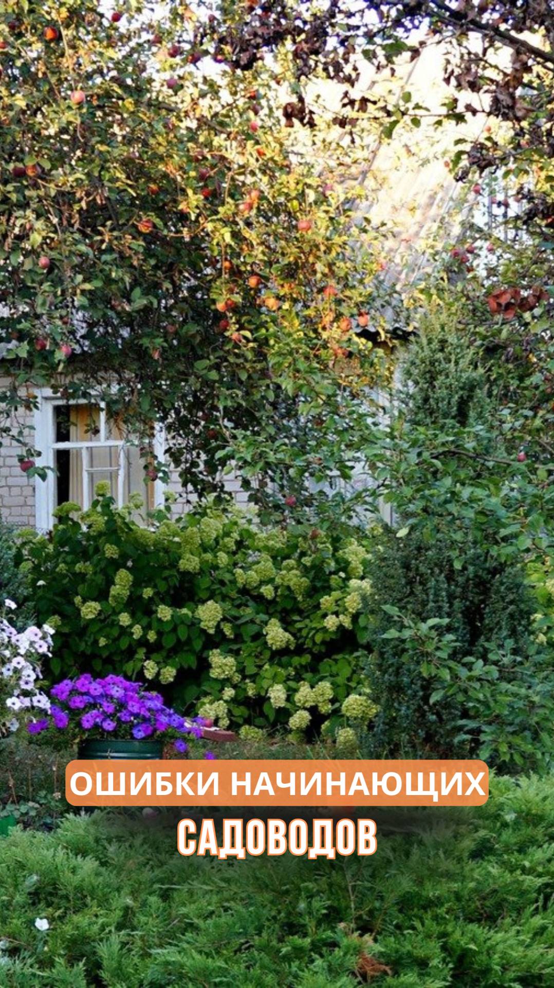 Ошибки начинающих садоводов смотреть онлайн