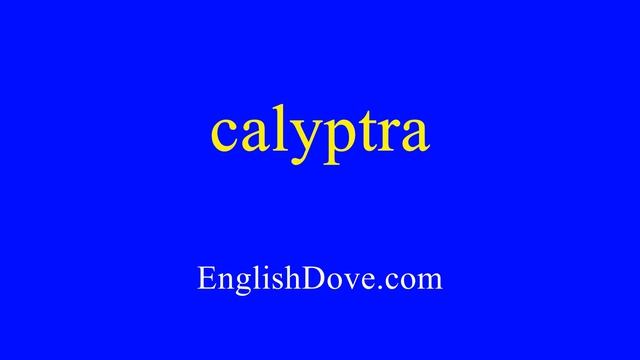 How to pronounce calyptra in American English смотреть онлайн
