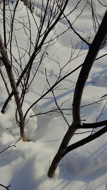 Ворчание речки смотреть онлайн