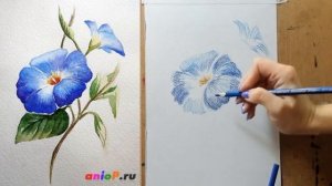 РИСУНОК ЗА 10 МИНУТ АКВАРЕЛЬНЫМИ КАРАНДАШАМИ - урок рисования