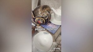 Дурные с тик ток 🤩 Придурки тик ток🤩 Тик ток лучшее 2021 #40 #дурныестикток #лучшеетикток #тренды