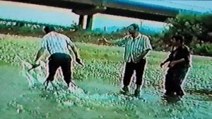 Хьапар чупар