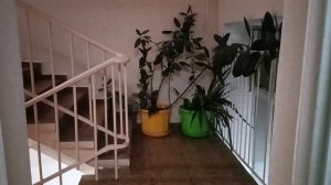 Пассажирский лифт V=1 м-с, Q=400 кг (4876)