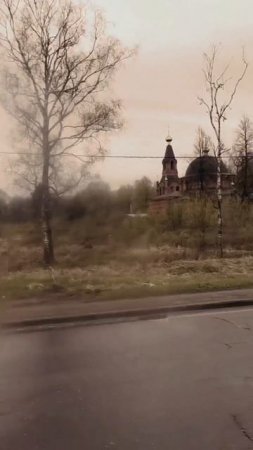 В гостях у рыбки