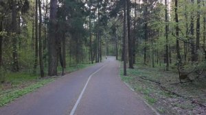 Мытищинский лесопарк.