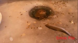 ТЫ НЕ ПОВЕРИШЬ !!!!Подборка Угарные приколы на Рыбалке 2017!!!