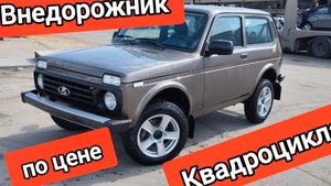 Обзор НИВА ЛЕГЕНД ЛЮКС КОРИАНДР 2024 | РЕАЛЬНЫЕ ЦЕНЫ В ТОЛЬЯТТИ (28.04.25г) #нивалегенд